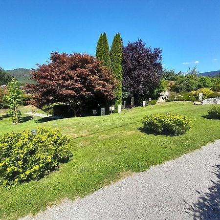 Chalet de Grettery Saulxures-sur-Moselotte Eksteriør bilde