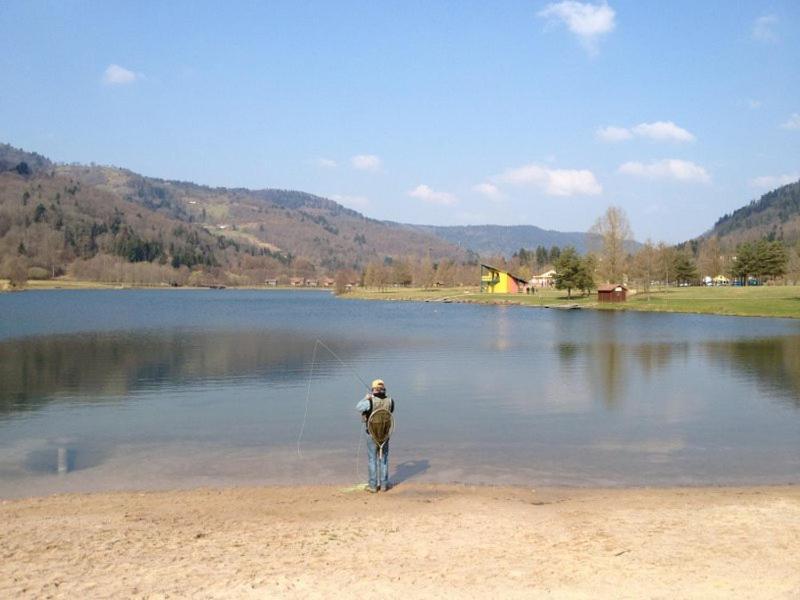 Chalet de Grettery Saulxures-sur-Moselotte Eksteriør bilde