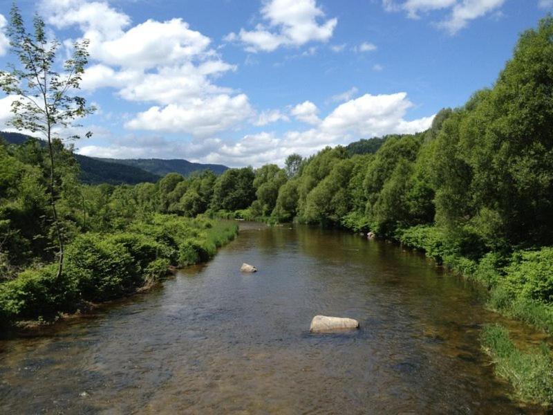 Chalet de Grettery Saulxures-sur-Moselotte Eksteriør bilde